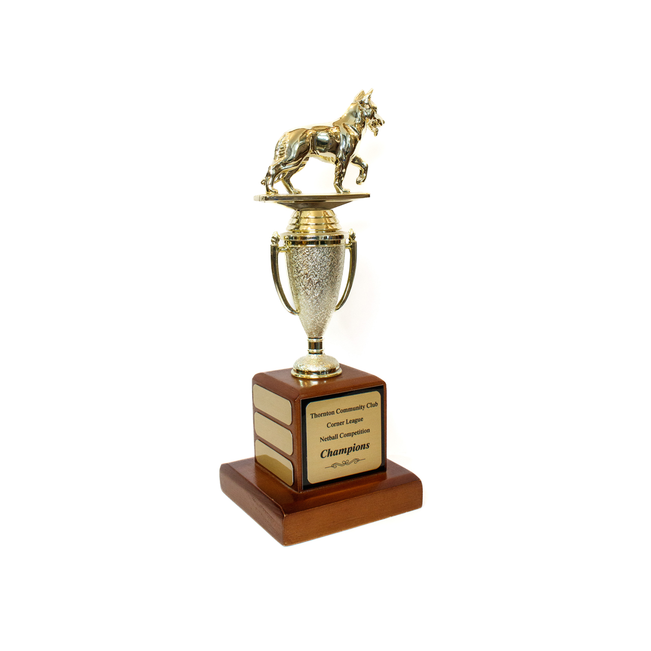 Perpetual Trophy - PT1005