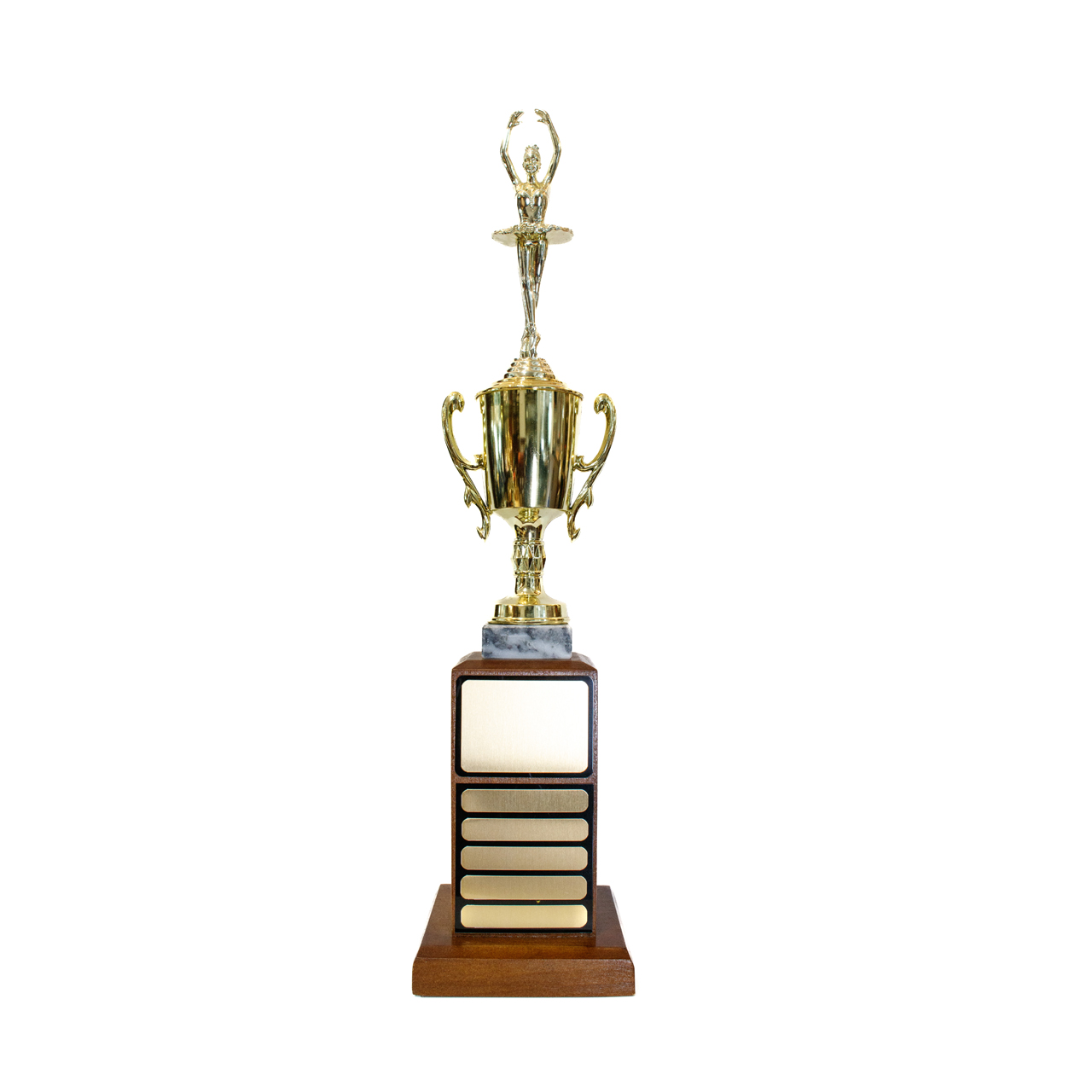 Perpetual Trophy - PT1004